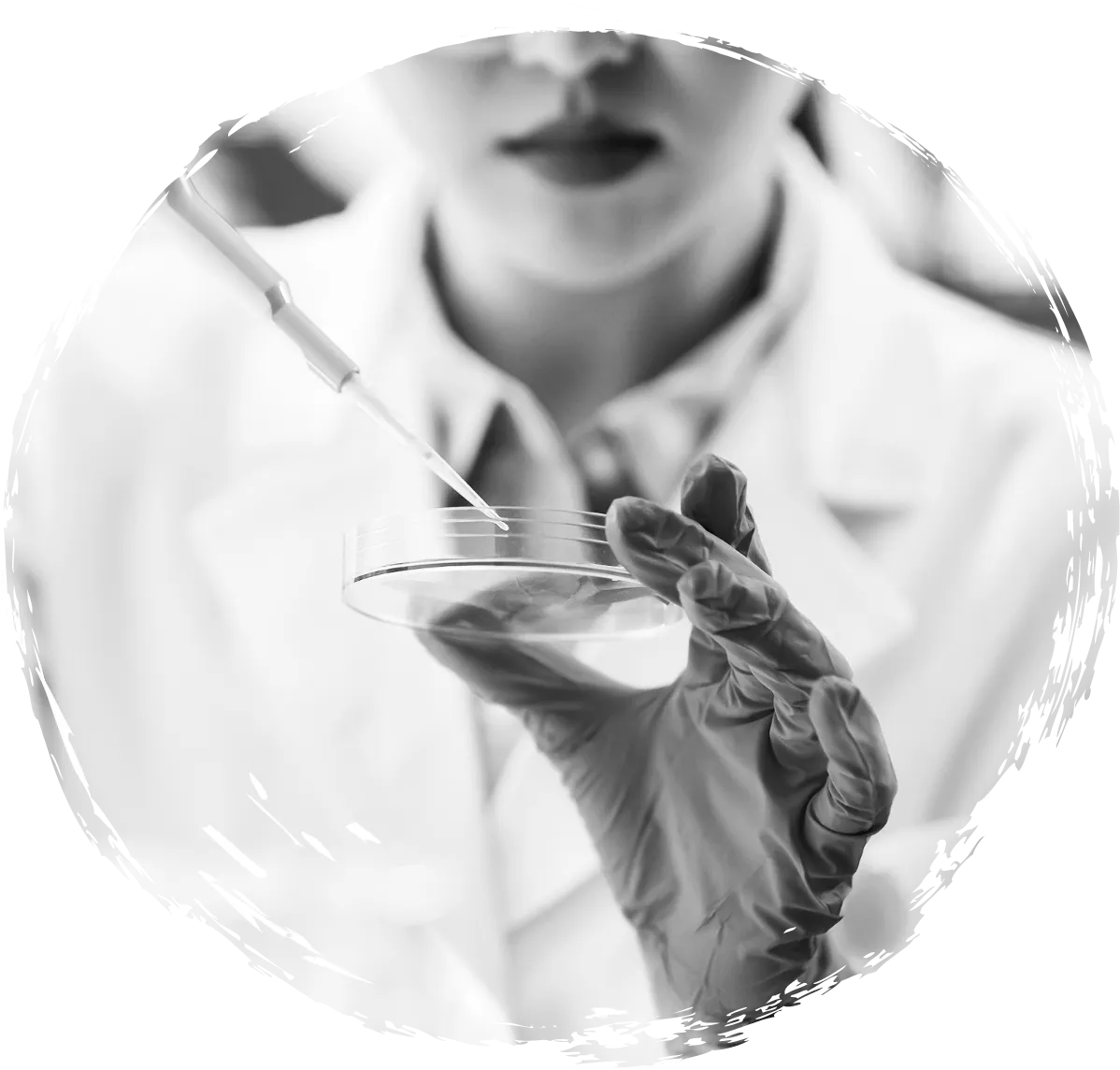 Specializzazioni Service Lab