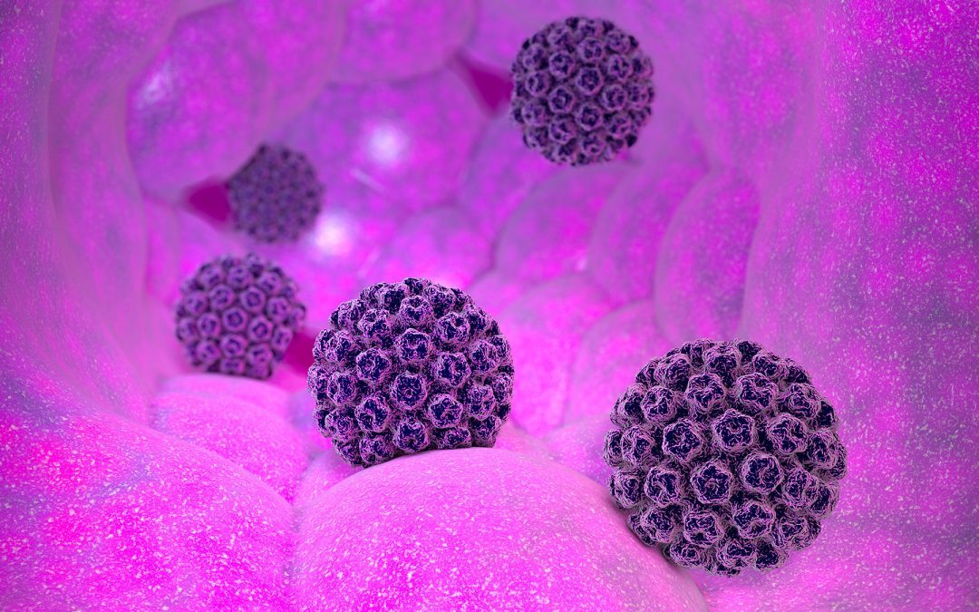 Nuovo test HPV papilloma virus umano