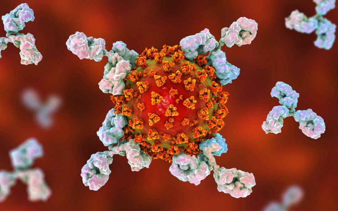 Monitoraggio anticorpi neutralizzanti SARS-COV-2 S-RBD: il controllo dopo il vaccino e dopo la malattia anche se asintomatica