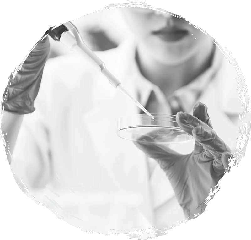 Service-lab-bollo (1)