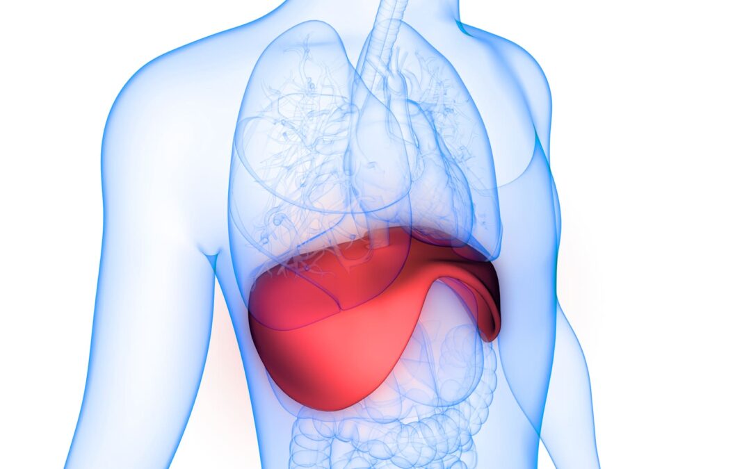 Respirare con il diaframma: come aiuta la nostra salute e quanto migliora le performance sportive