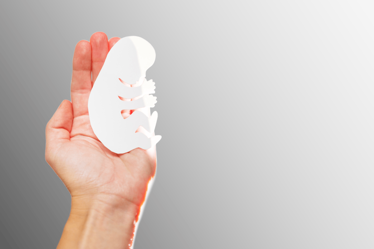 Una mano che tiene la figura disegnata di un feto, immagine associata all'aborto e alla poliabotività