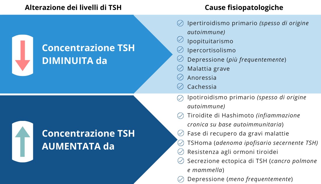 concentrazioni dell’ormone ipofisario TSH o tireotropina