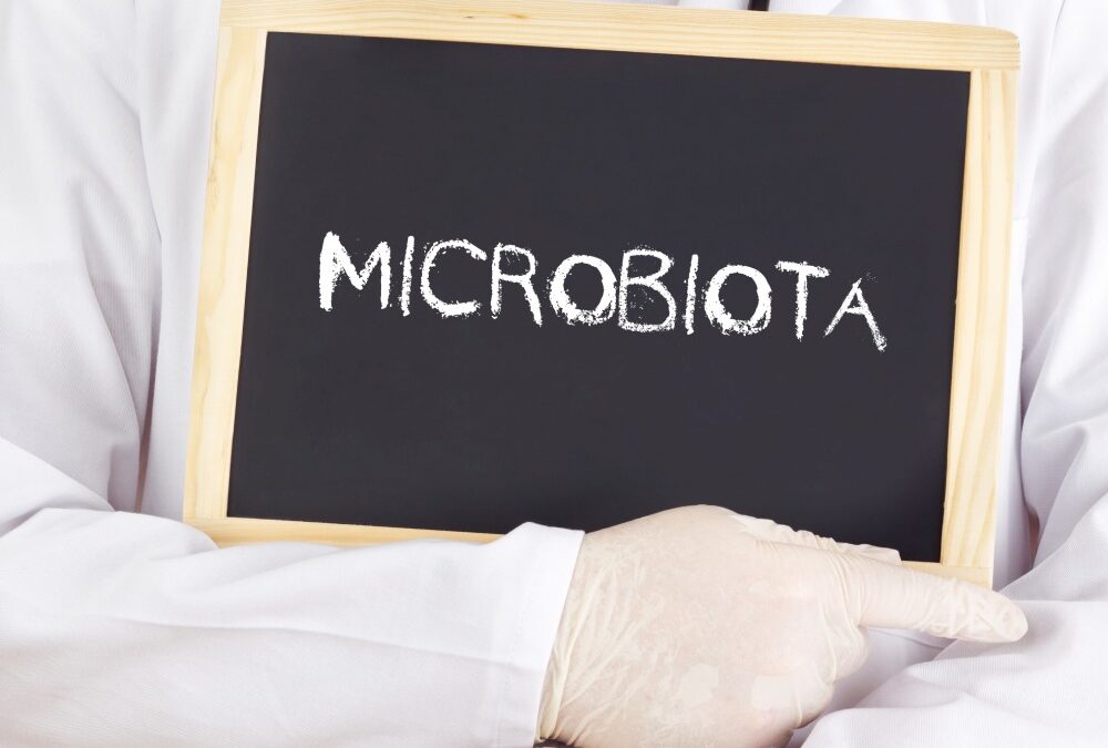 Il benessere del microbiota: perché è importante e come ripristinarlo