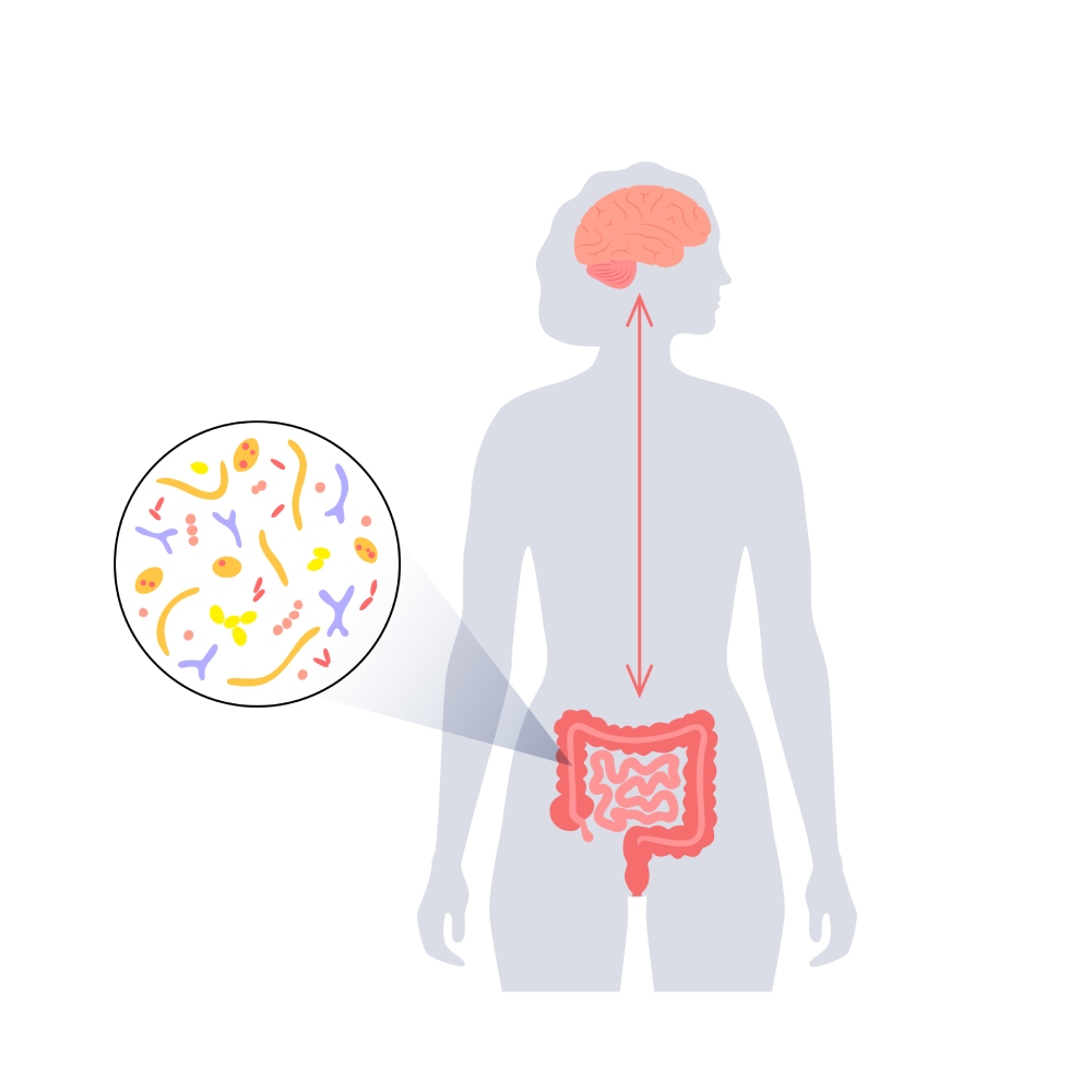 Raffigurazione del microbiota intestinale