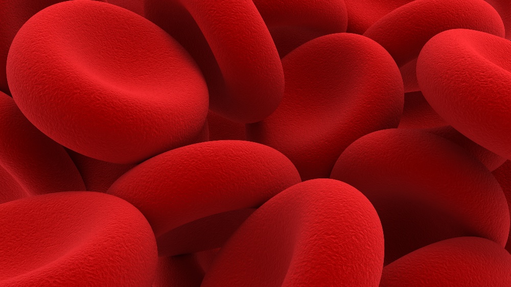 Globuli rossi, TAO Pazienti in Terapia Anticoagulante Orale