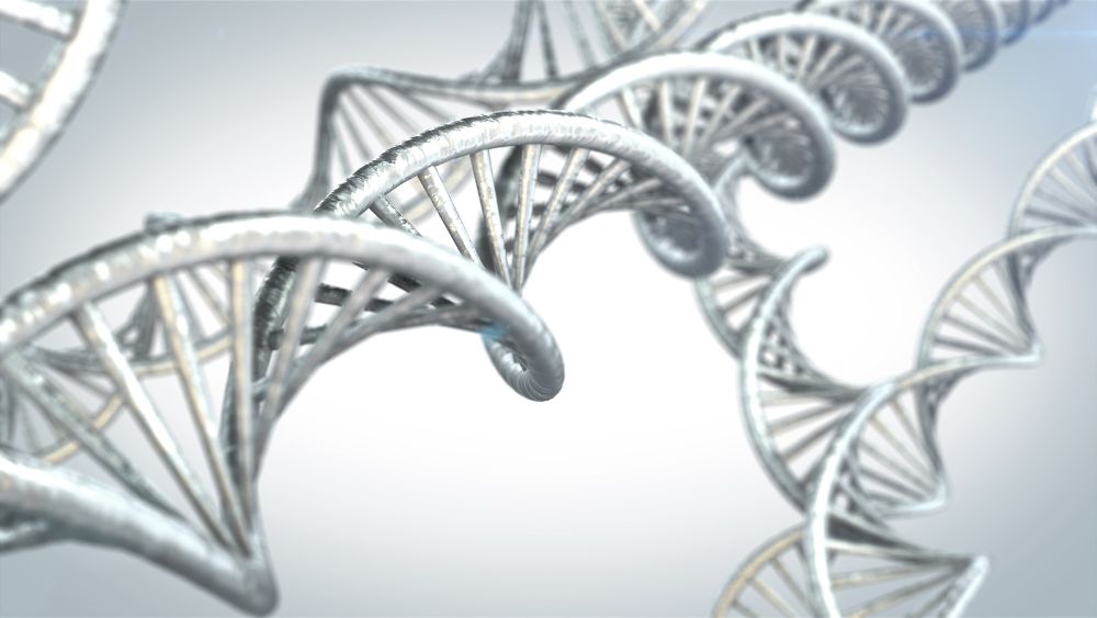La genetica nei rischi darciovascolati come l'ateriosclerosi