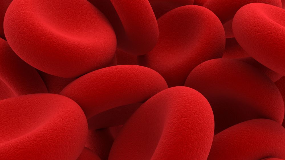 La Terapia Anticoagulante Orale