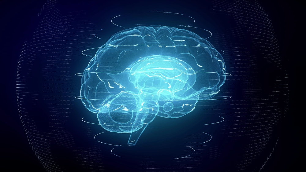 Neuroplasticità come allenare il cervello a ogni età