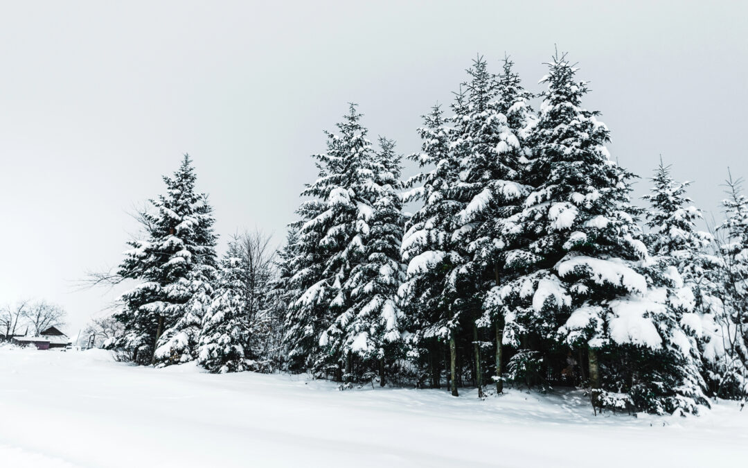 L’inverno come “stress test” per il corpo: 7 indicatori che variano
