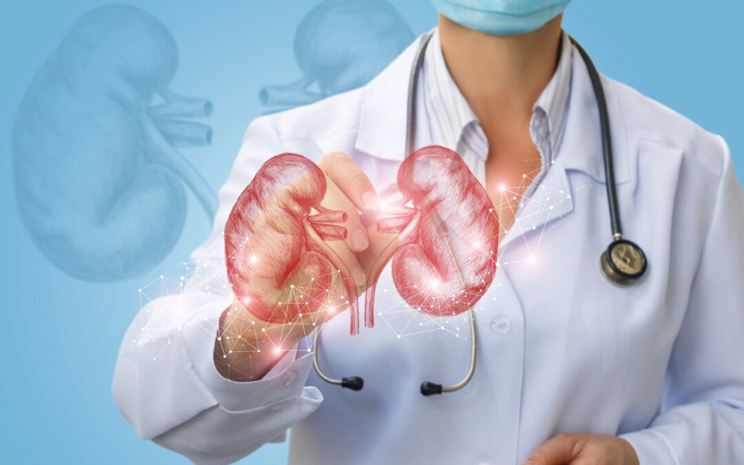 Proteggere la salute renale: prevenzione, diagnosi precoce e stili di vita