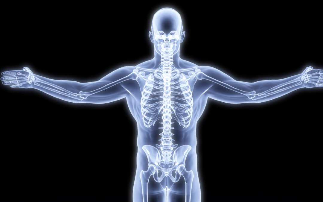 Le nostre ossa sono più forti dell’acciaio