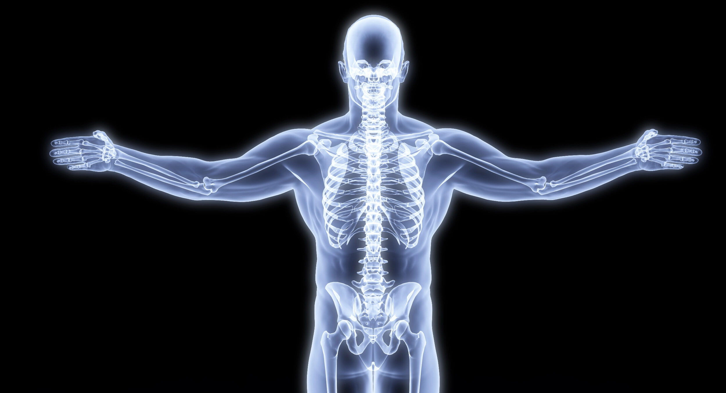 L'immagine raffigura l'osso forte del corpo umano